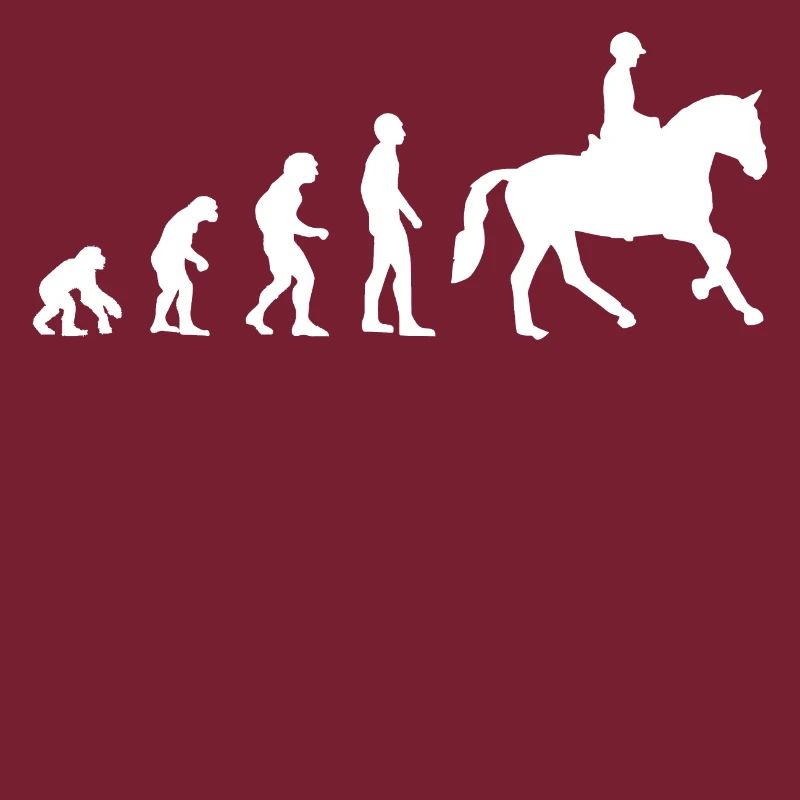 Reiten Evolution Pferde Pferd Reiter Reiterin