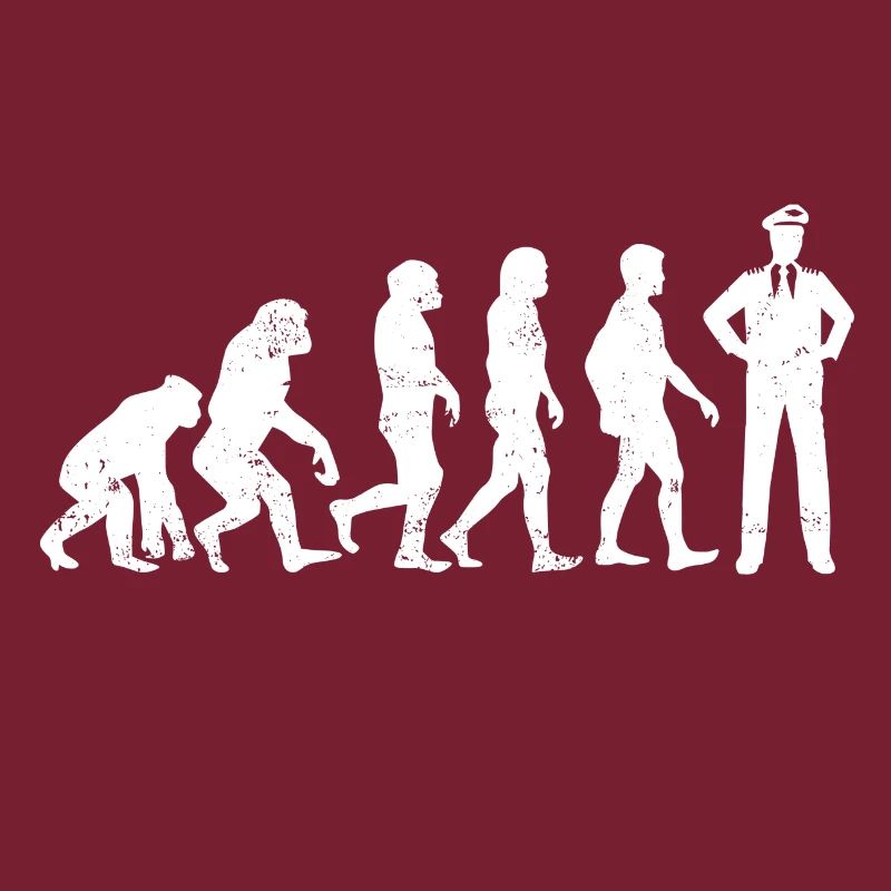 Evolution Pilot Airplane