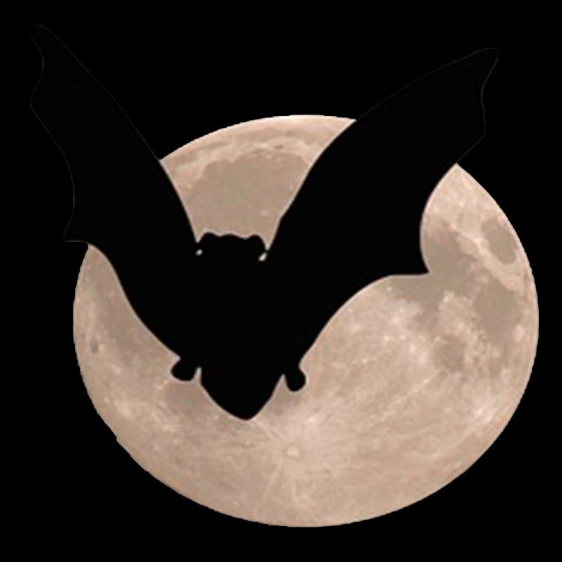 Souris des champs devant la lune
