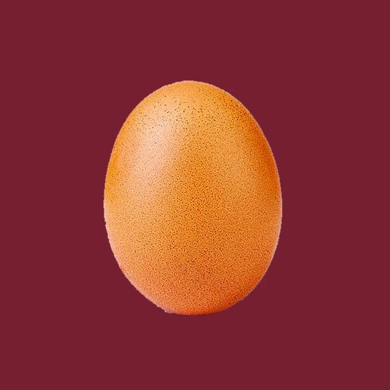 egg