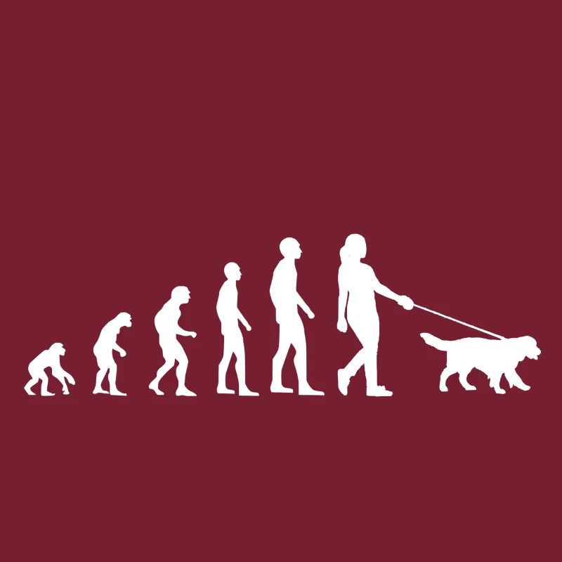 Evolution Dog