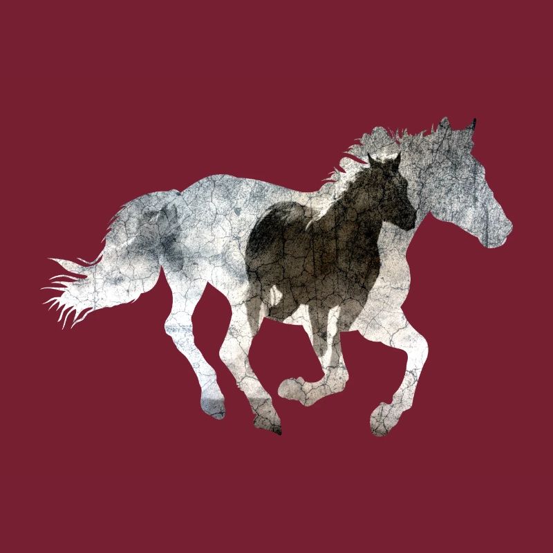 Galloping horse