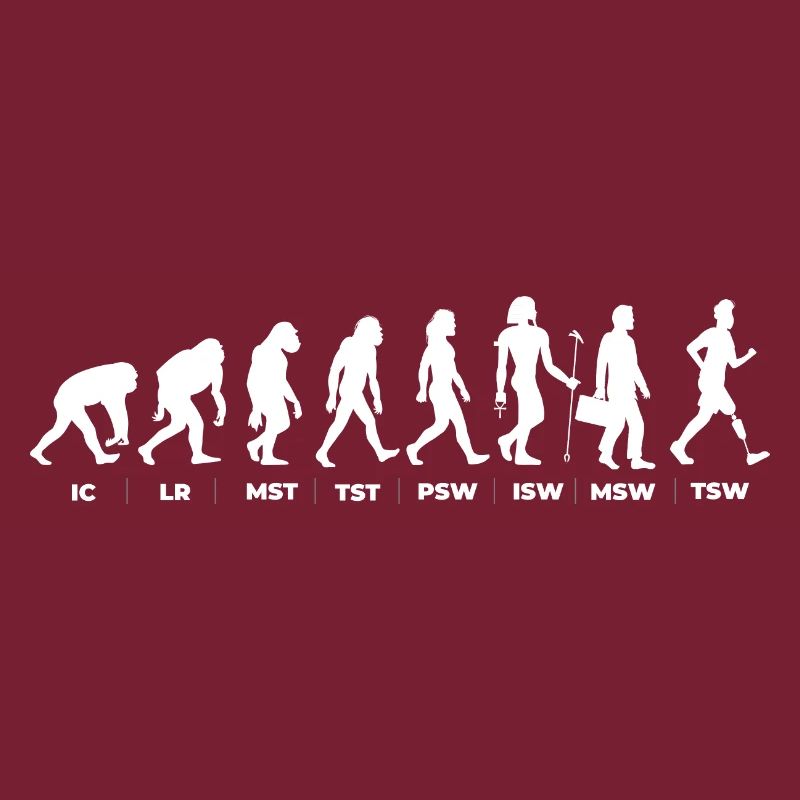 Die Evolution & der Gangzyklus (gOT it!)