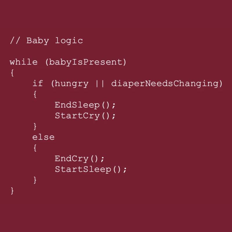 Baby logic Programmierer Geschenkidee