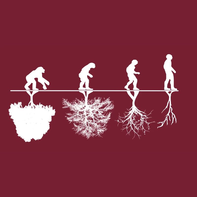 Critique d'évolution