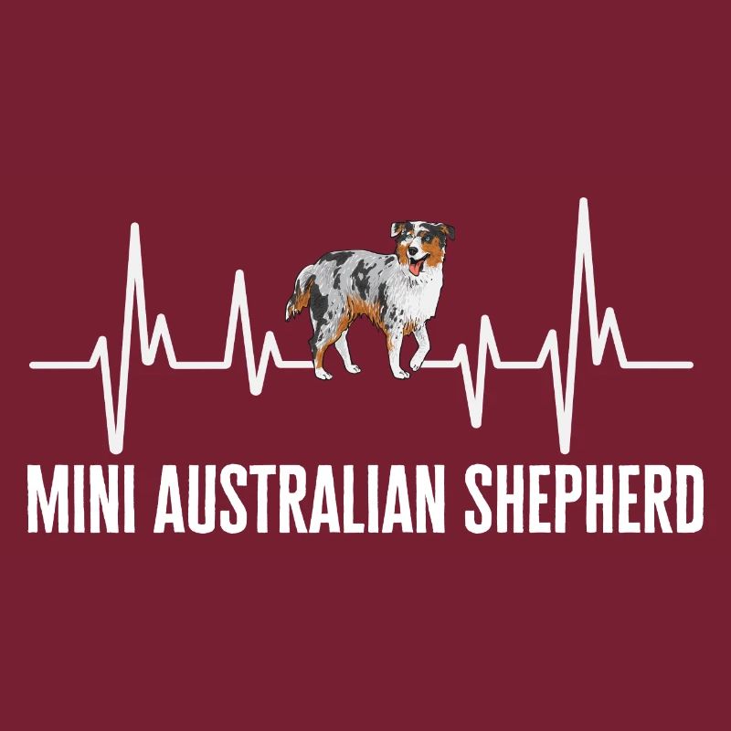Miniature Australian Shepherd