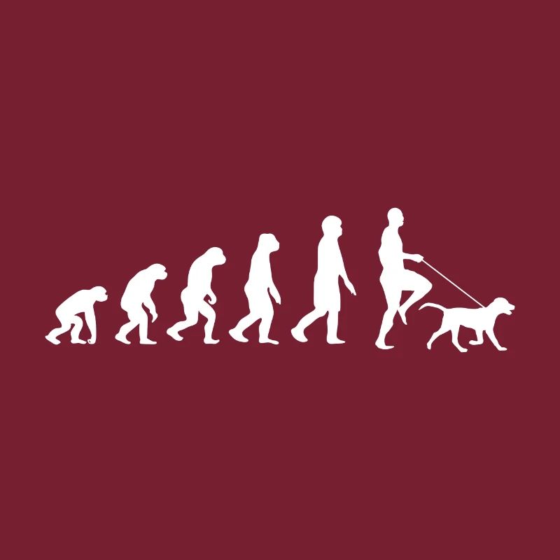 Labrador Evolution