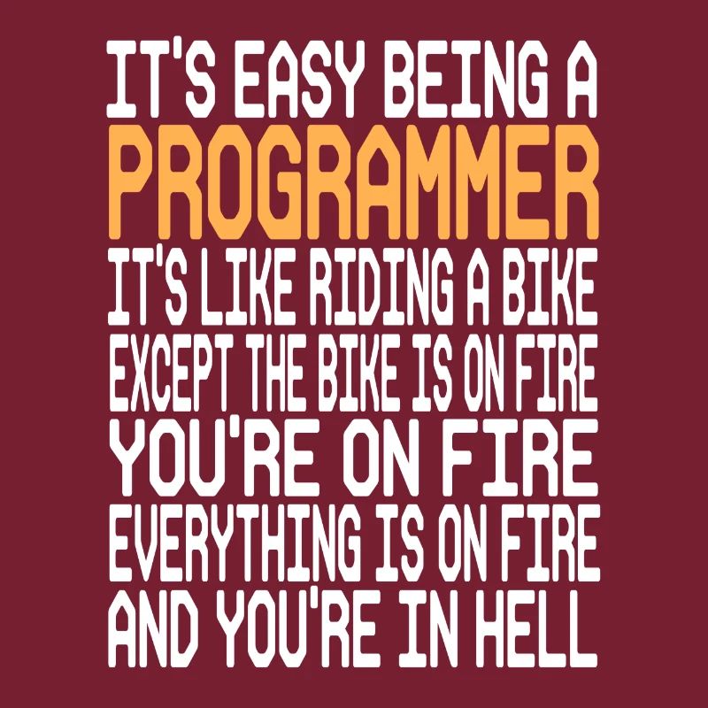 Programmer