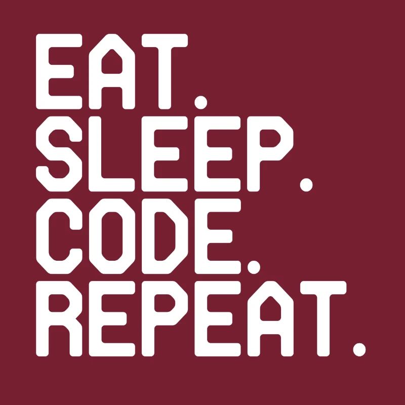 Programmer