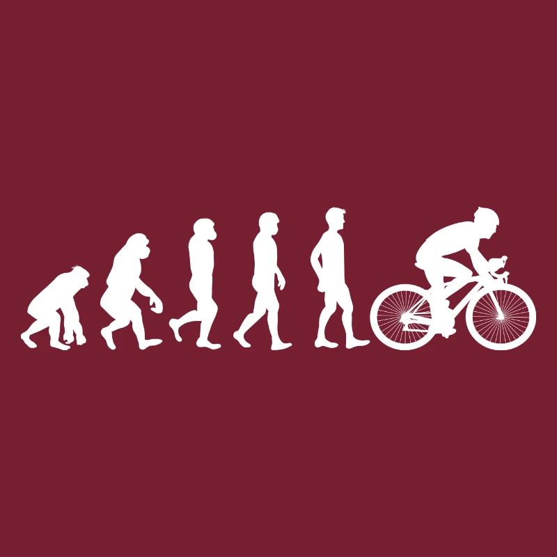 Fahrrad Evolution weiß