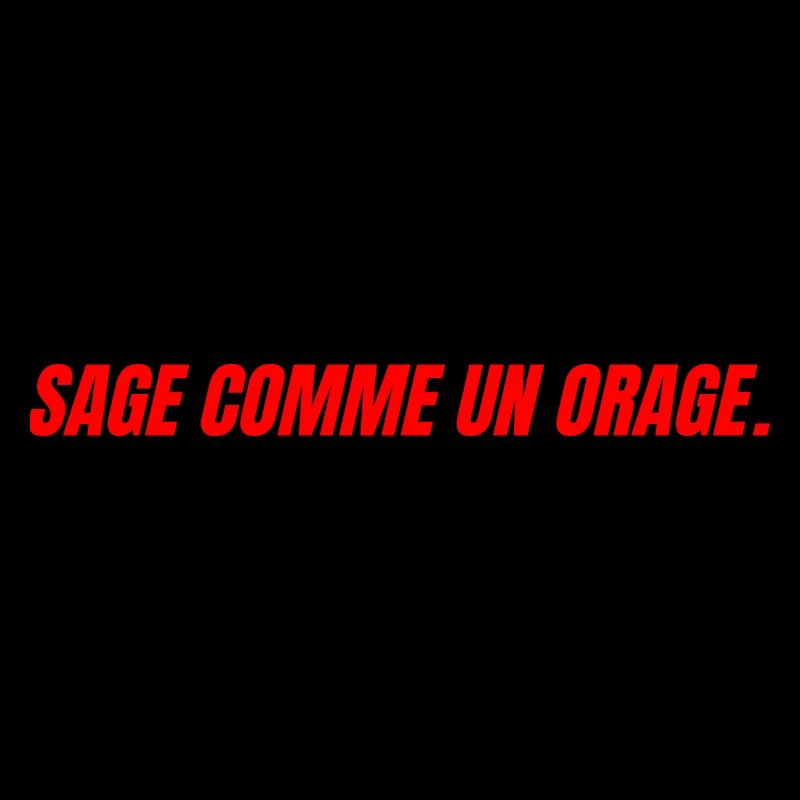 sage comme un orage