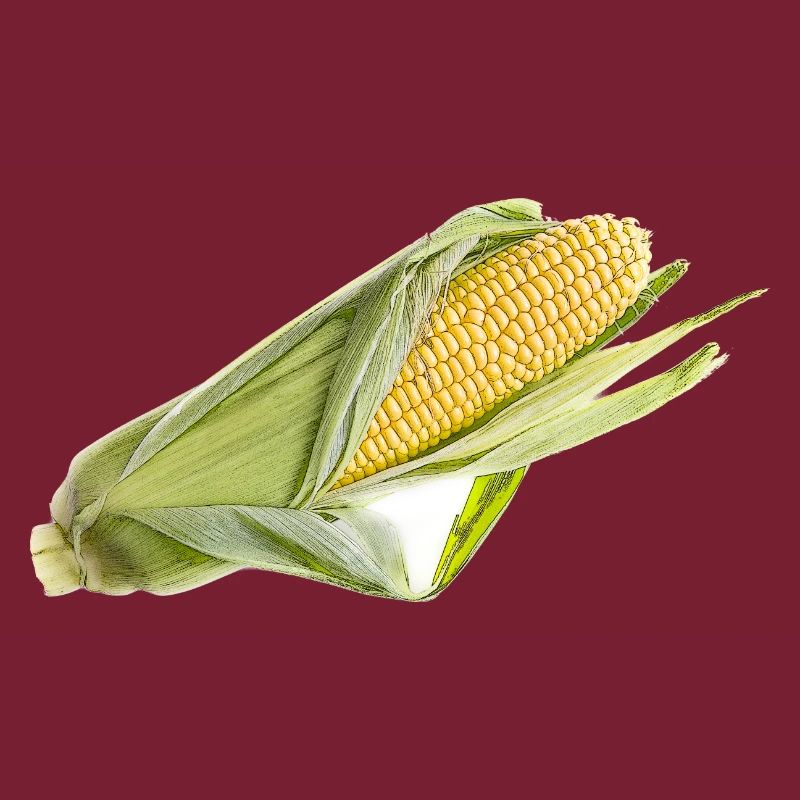 corncob