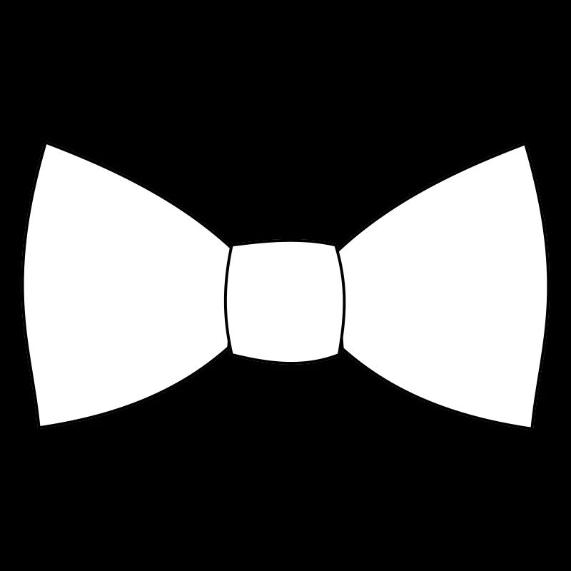 Noeud papillon cravate cravate costume de bébé