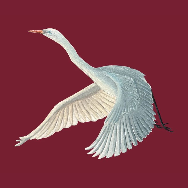 Illustration de grande aigrette blanche