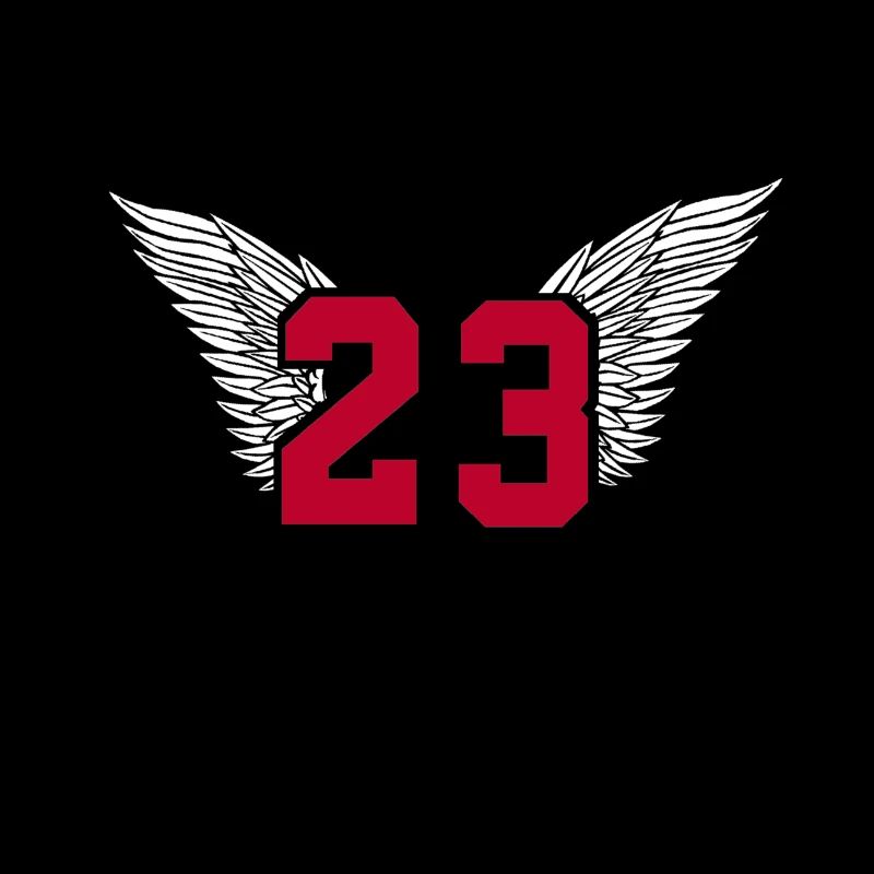 Basket numéro 23 Michael Jordan