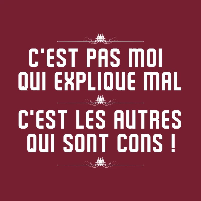 C'est Pas Moi Qui explique Mal -Citation Perceval