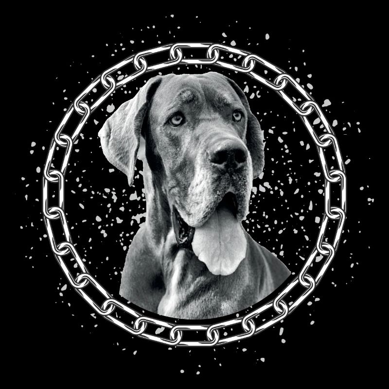 Deutsche Dogge oder Dänische Dogge als Portrait