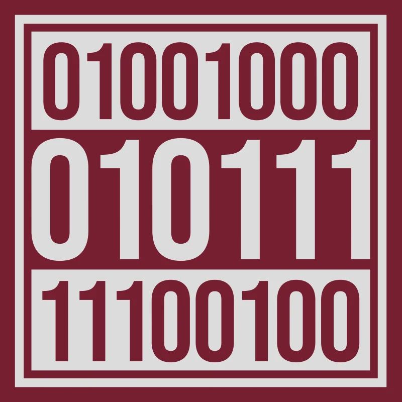 Binary Code Program Language