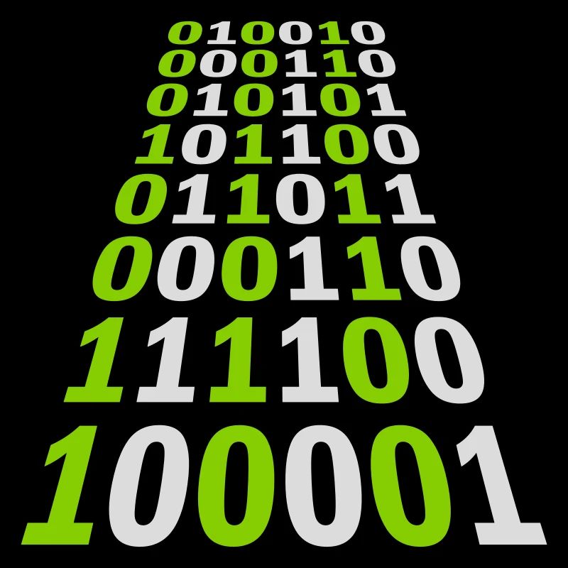 Binary Code Program Language