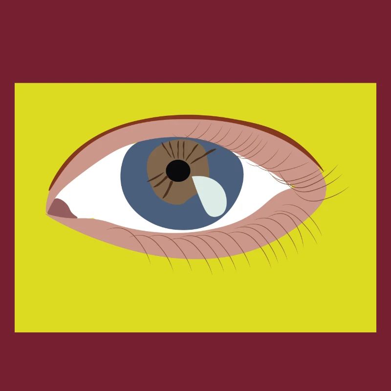 Oeil