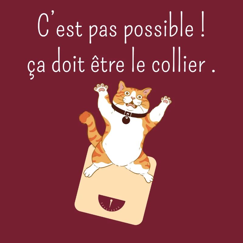 Ça doit être mon collier -humour perte de poids