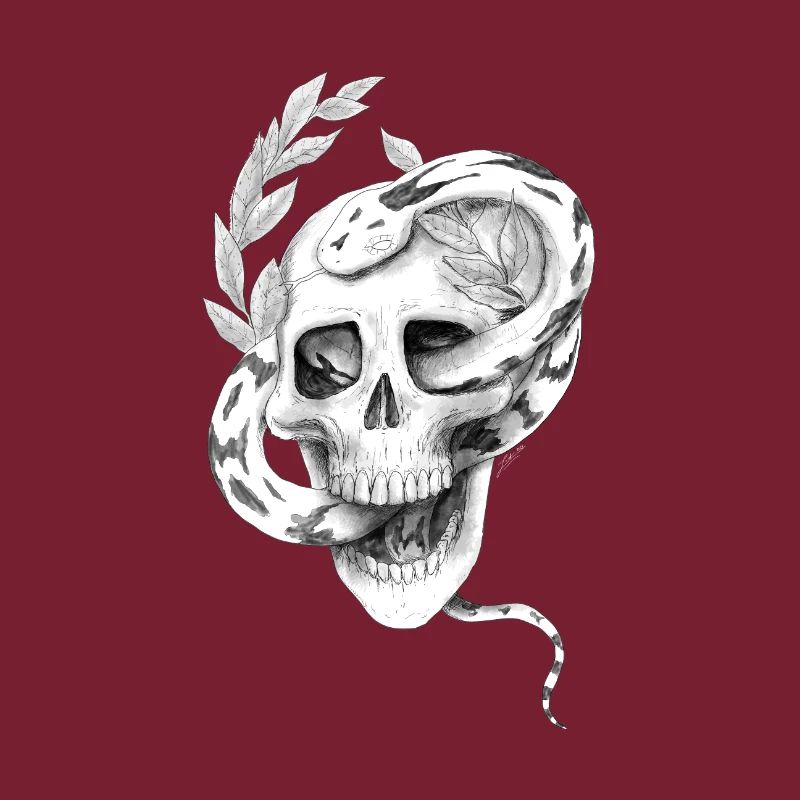 Crâne de serpent