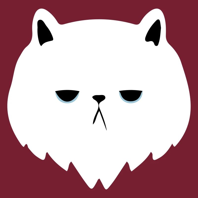 bored cat
