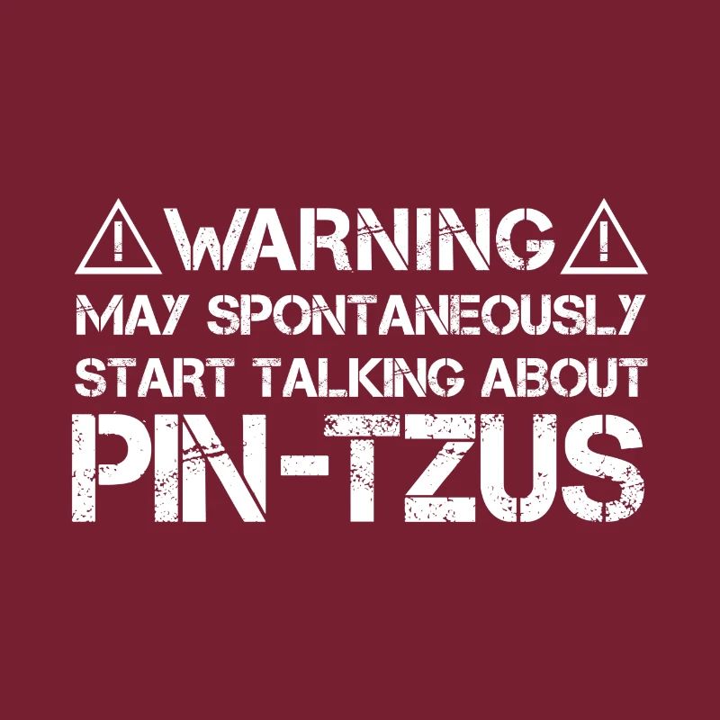 Pin-Tzu