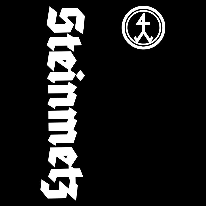 Steinmetz