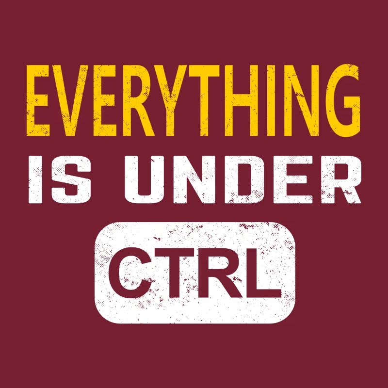 Programmer software developer