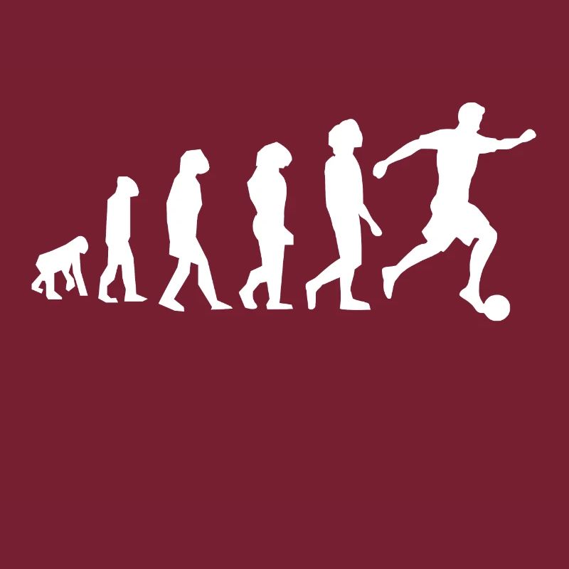 Fussball Evolution