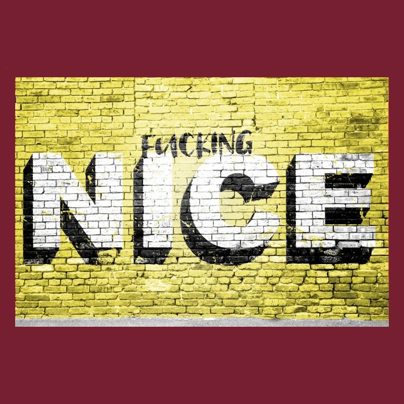 Fucking nice saying lettering Graffiti on Brick