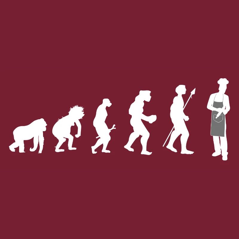 KochKoch Evolution