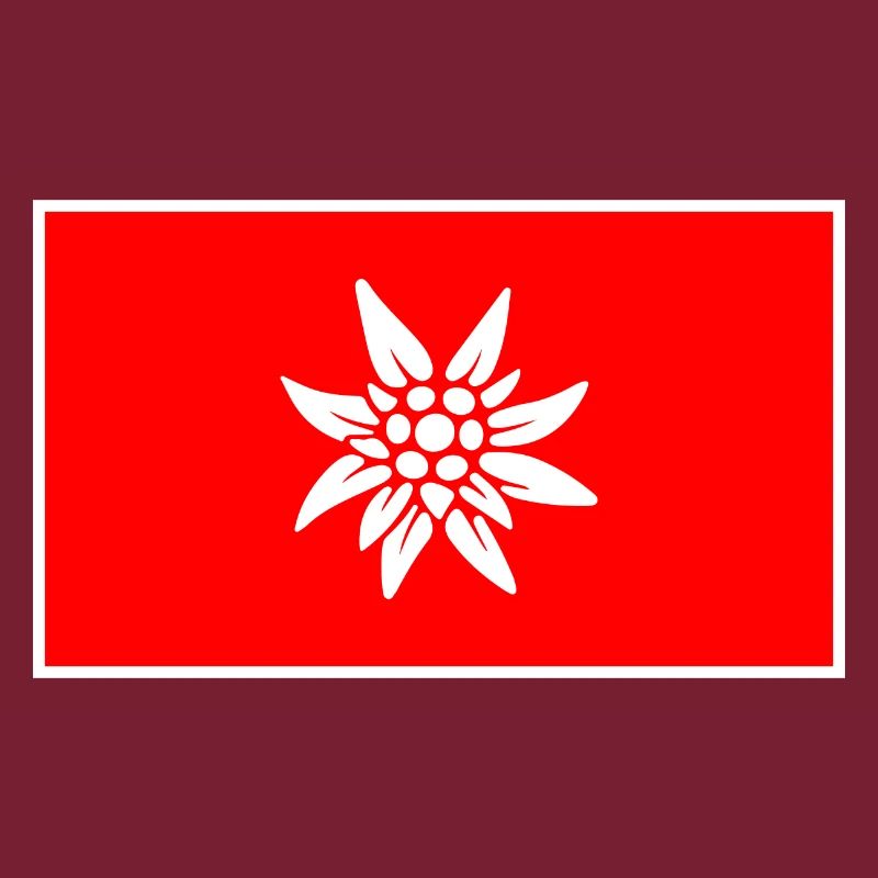 Drapeau suisse