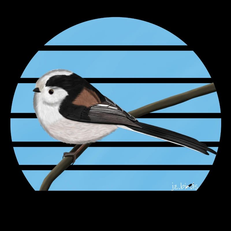 conception d'oiseaux à longue queue