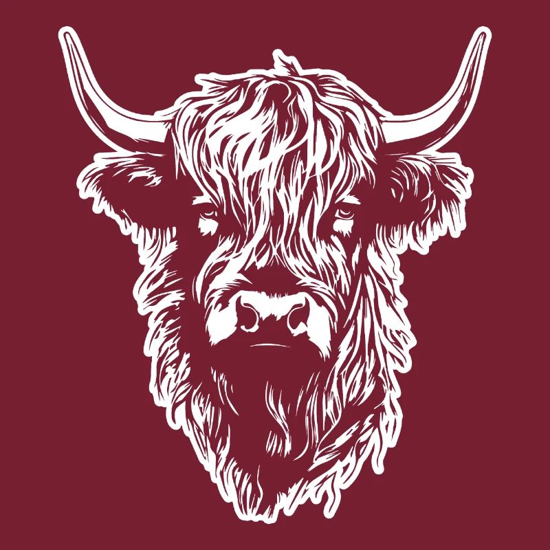 Vache écossaise des Highlands