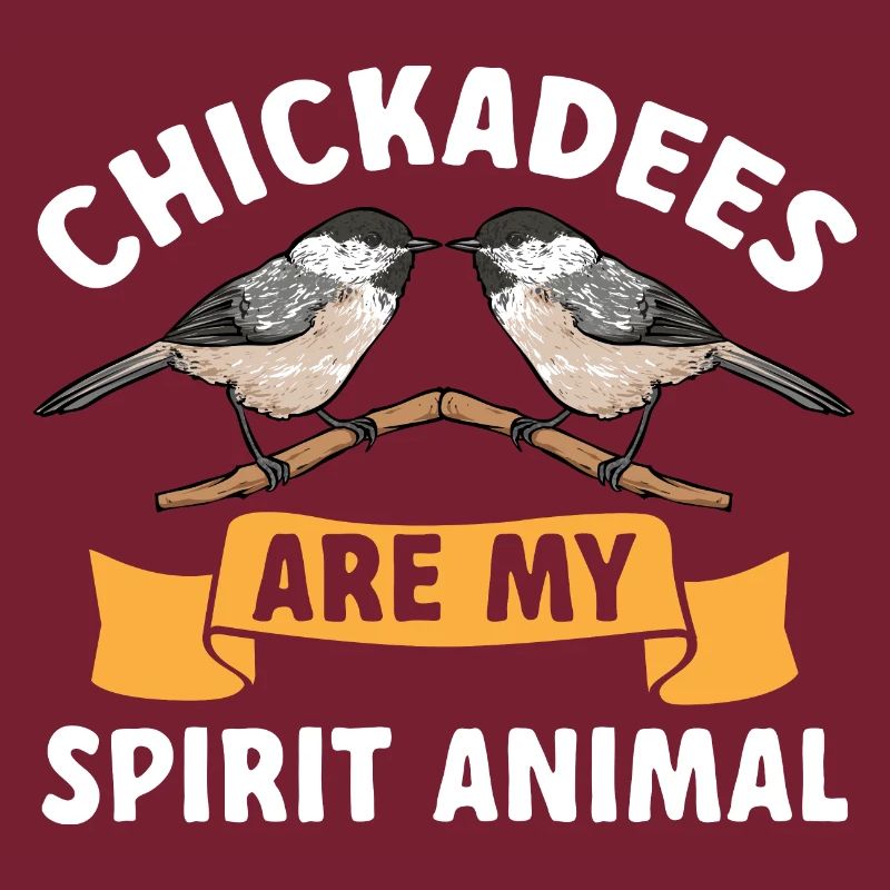 Meise Vogel Chickadee Vogelbeobachtung
