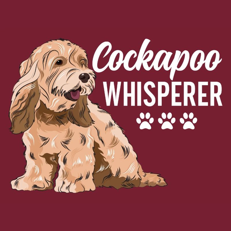 Cockapoo Chien