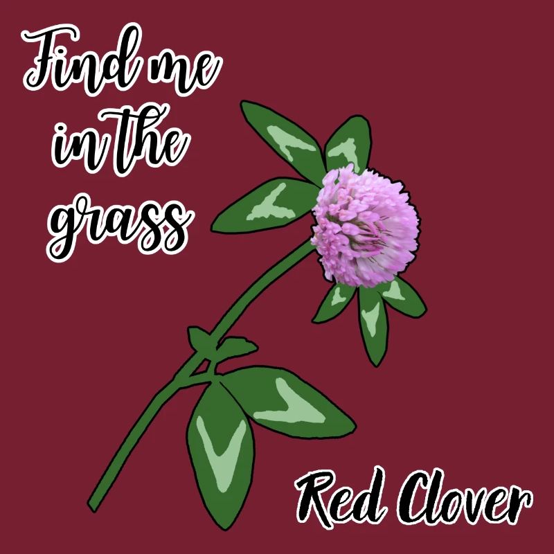 Finde mich im Gras... Rotklee