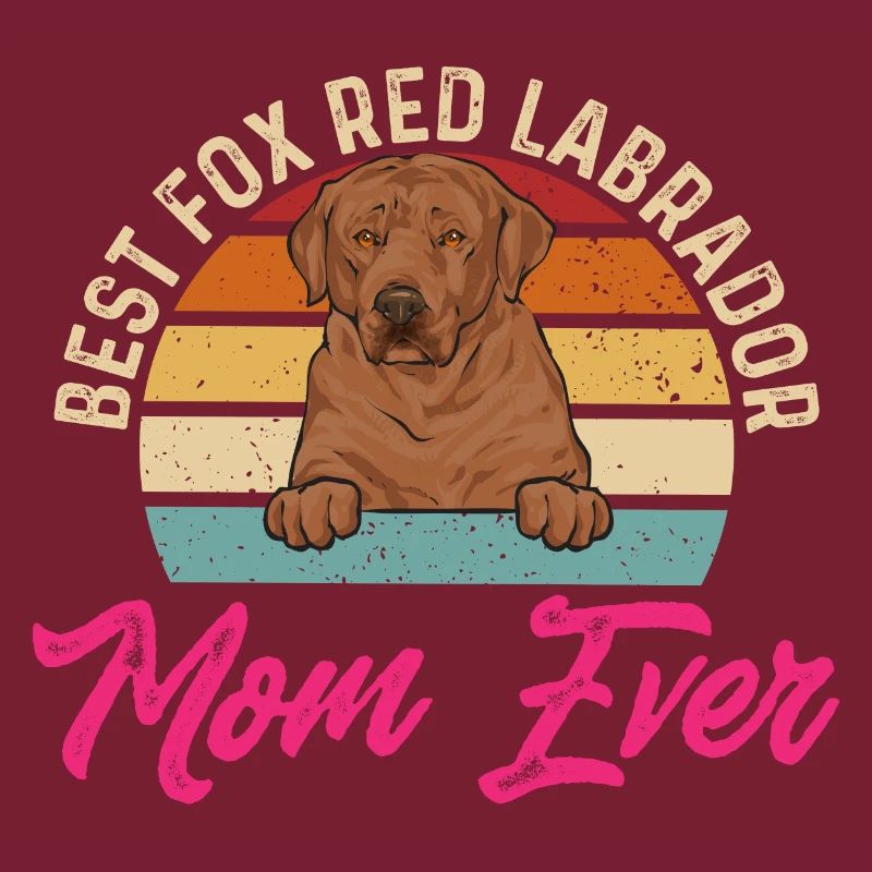 Foxred Labrador Fox Red Labrador Retriever