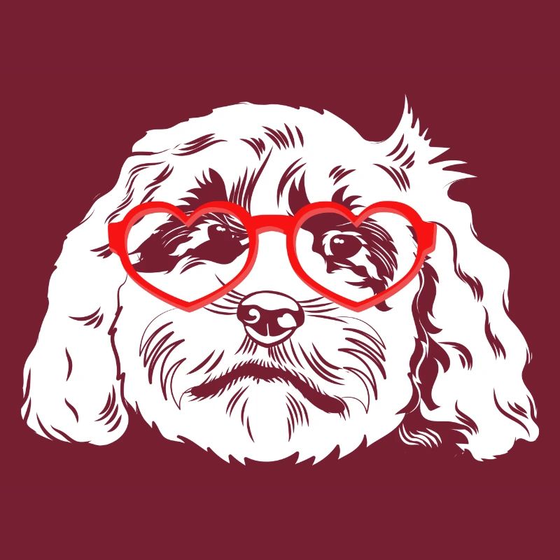 Cockapoo Chien