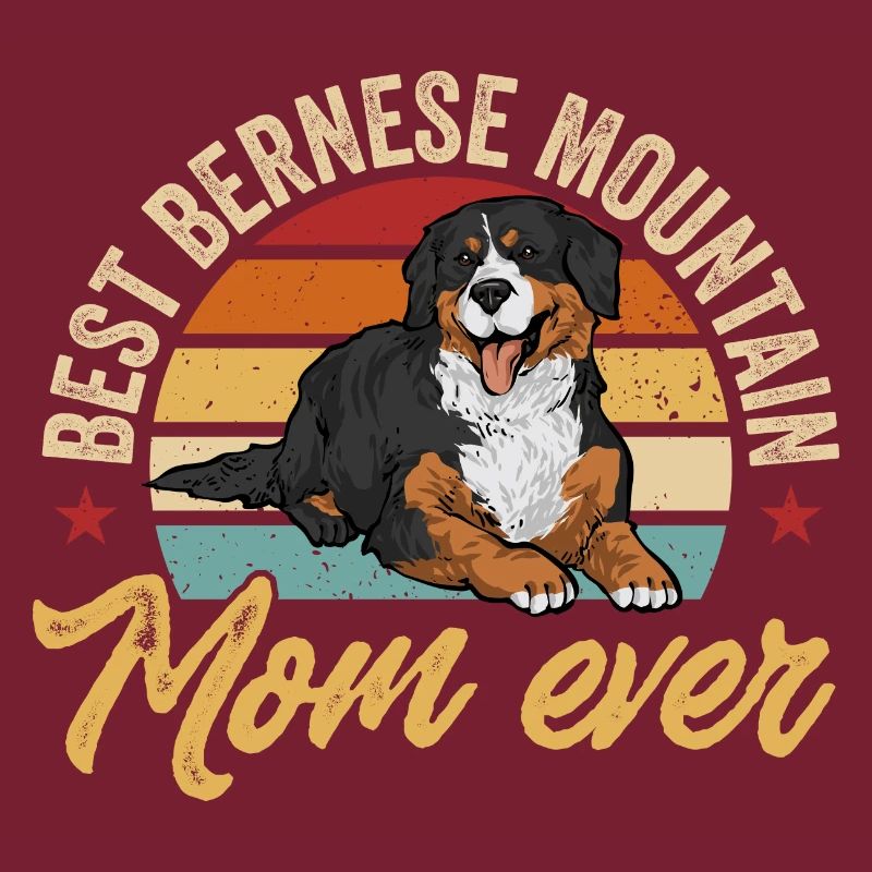 Bouvier bernois