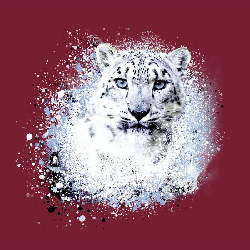 léopard de neige,chat,léopard,léopard,blanc,chat sauvage