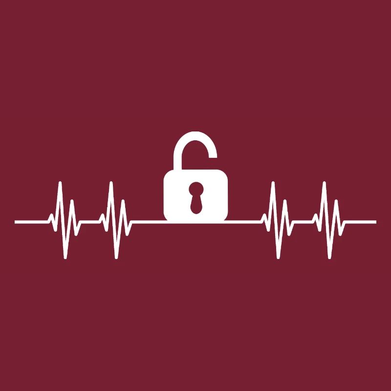 Lock Picker Lockpicking