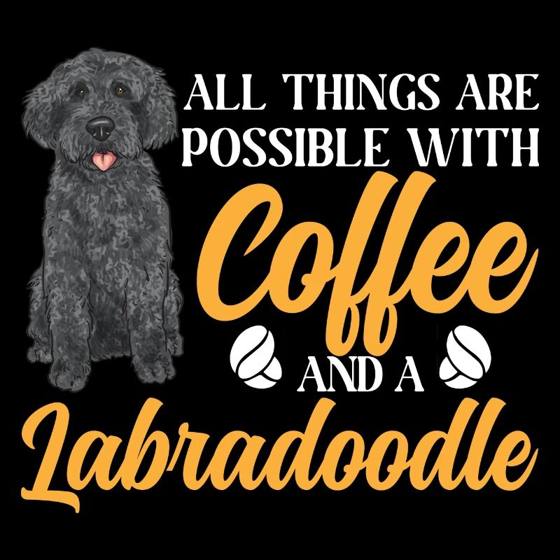 Labradoodle Hund