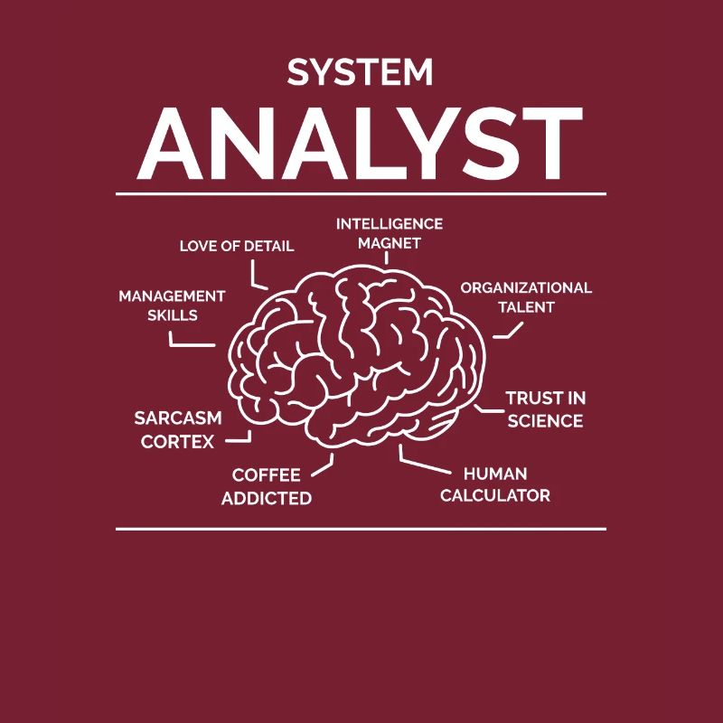 Systems analyst