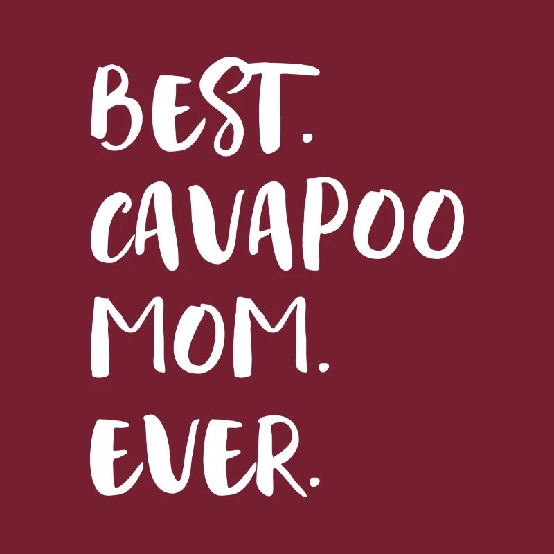Cavapoo Cavoodle