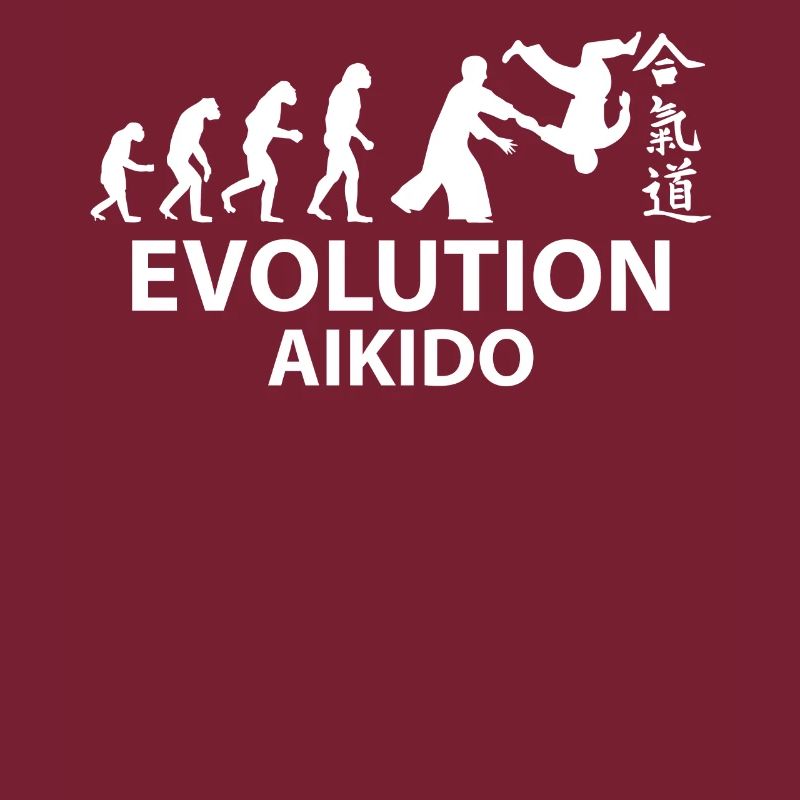 Aikido Evolution T-shirt & idée cadeau