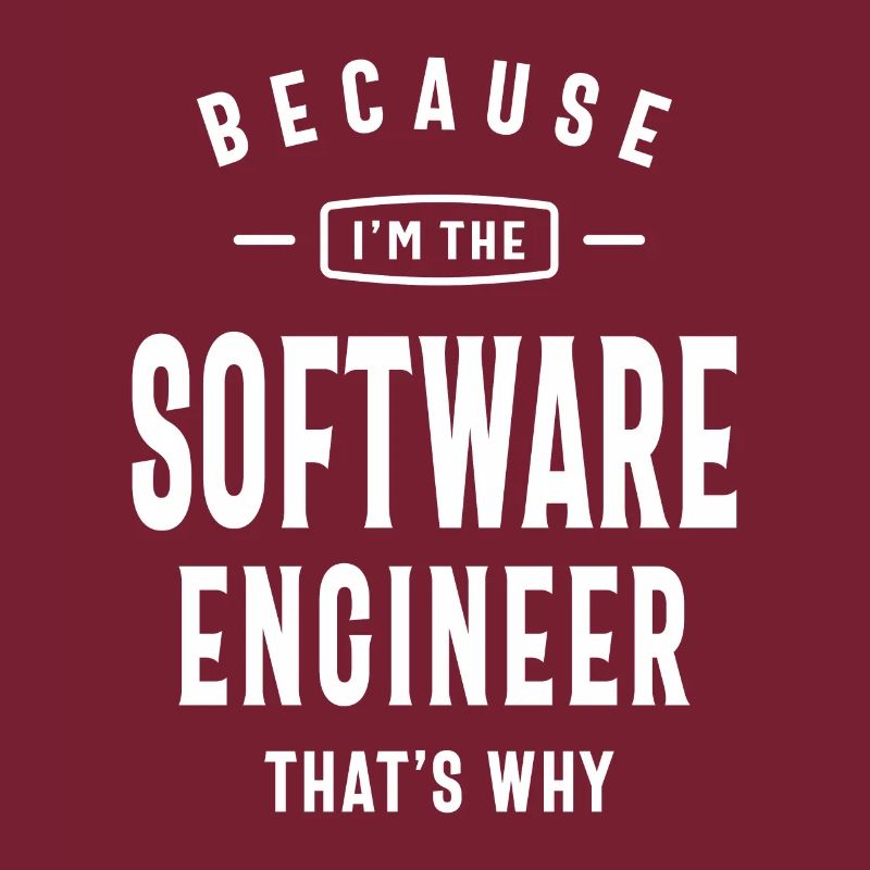 Software Engineer Job Title Profession
