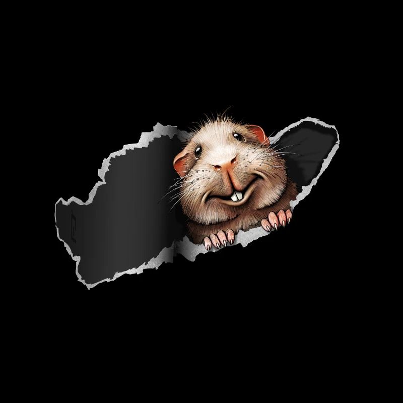 Meerschweinchen Überraschung Wheek Wheek